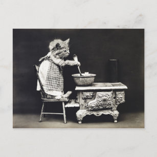 Cute Vintage Funny Kitten Baking and Cooking Postcard