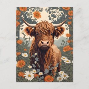 Cute Vintage Highland Cow  Postcard