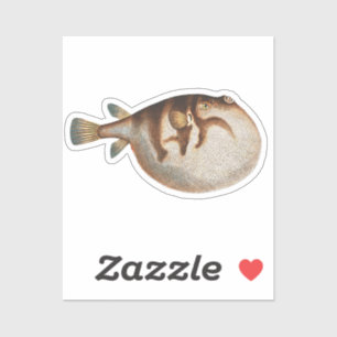 Cute Vintage Illustration Fugu