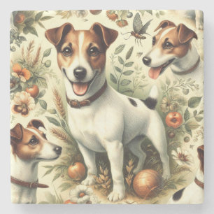 Cute Vintage Jack Russell Terrier Stone Coaster