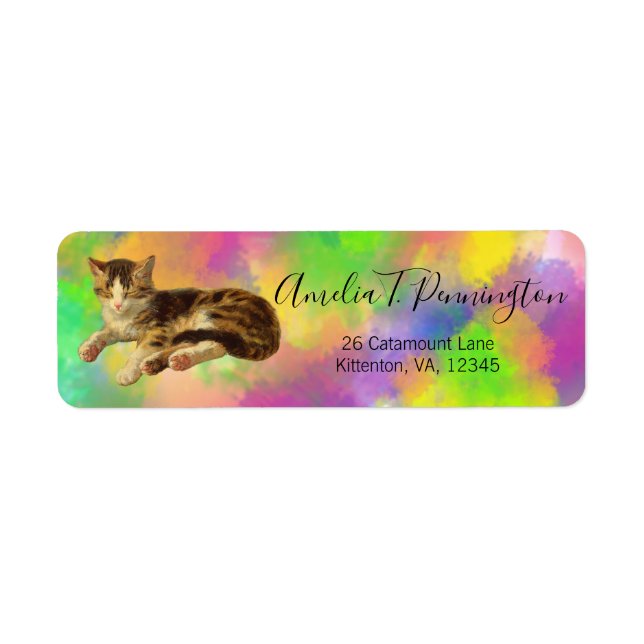 Cute Vintage Kitty Cat Nap Abstract Rainbow Art (Front)