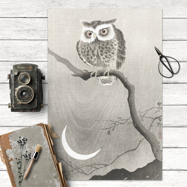 Cute Vintage Owl Decoupage Tissue Paper (Creator Uploaded)