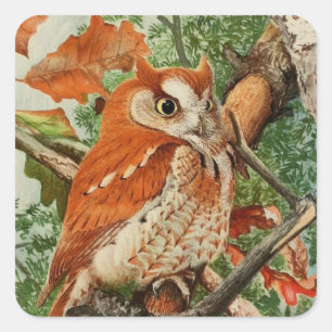cute vintage owl lovers square sticker