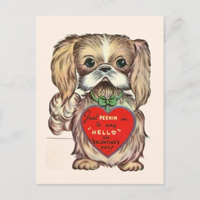 Cute Vintage Pekingese Puppy Dog 1950's Valentine Postcard (Front)