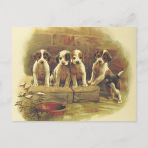 Cute Vintage Puppies Postcard