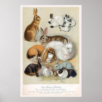 Cute Vintage Retro Bunny Rabbit
