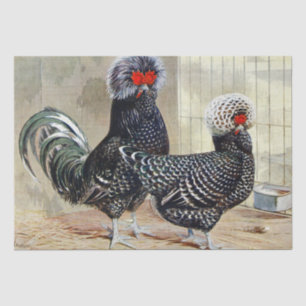 Cute vintage Rooster and hen party Tissue Paper