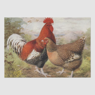 Cute vintage rooster hen party Country Tissue Paper