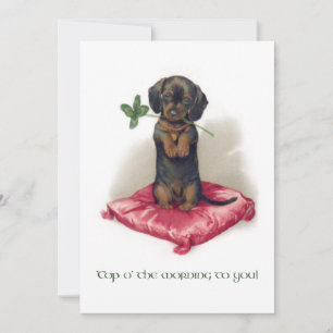 Cute Vintage St. Patrick's Day Dachshund w/Clover Holiday Card