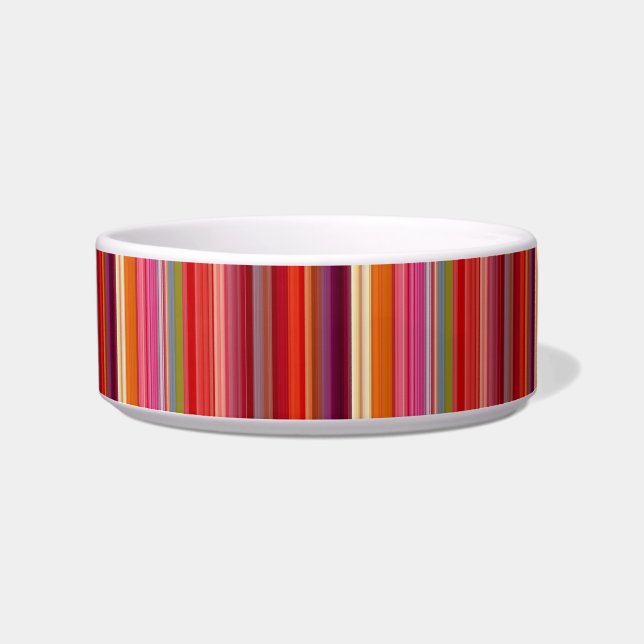 Cute vintage striped colours bowl (Front)