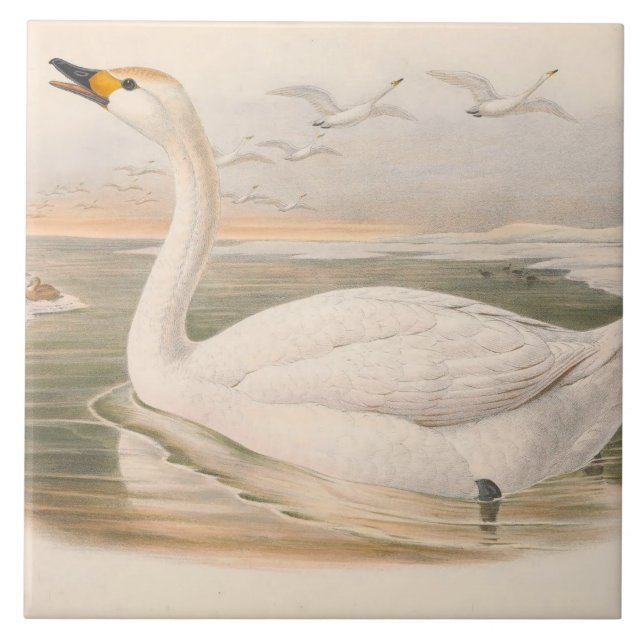 cute vintage swans decor tile (Front)