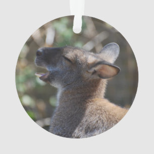Cute Wallaby Ornament