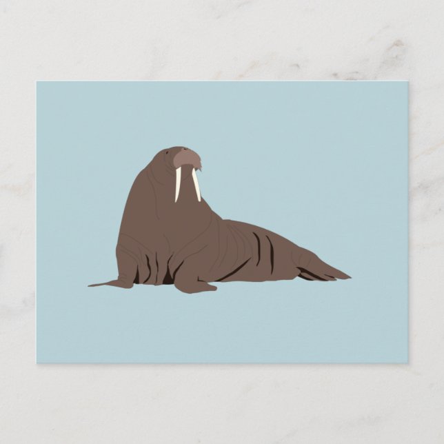 Cute Walrus Illustration  Holiday Postcard (Front)
