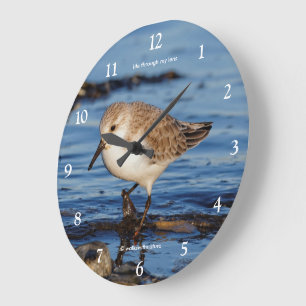 Cute Wandering Sanderling Shorebird Sandpiper Large Clock
