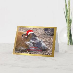 "Cute Warthog" Christmas card design