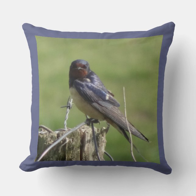 Cute Watching Barn Swallow Throw Pillow (Front)