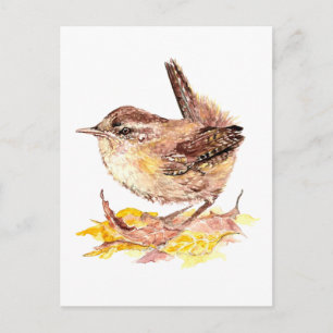 Cute Watercolor Wren Bird, Nature, Wildlife Postcard