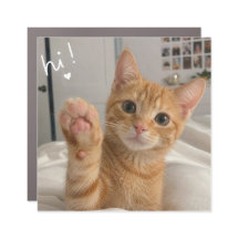 Cute Waving Kitten | Adorable Orange Cat Saying Hi