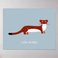 Cute Weasel