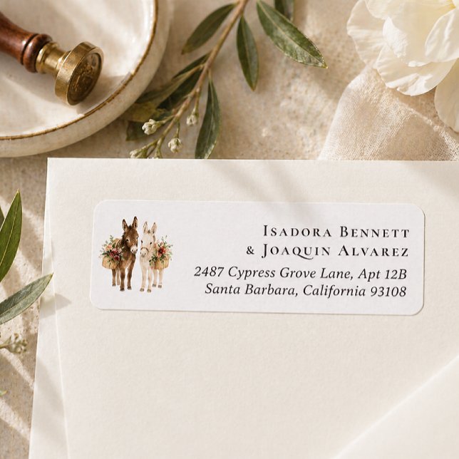 Cute Wedding Donkeys | Return Address (Creator Uploaded)