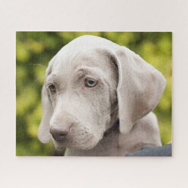 Cute Weimaraner Puppy Dog Jigsaw Puzzle (Horizontal)