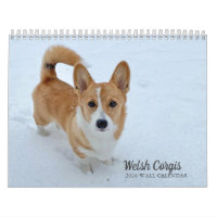 Cute Welsh Corgi Dog Photography 2026 Wall