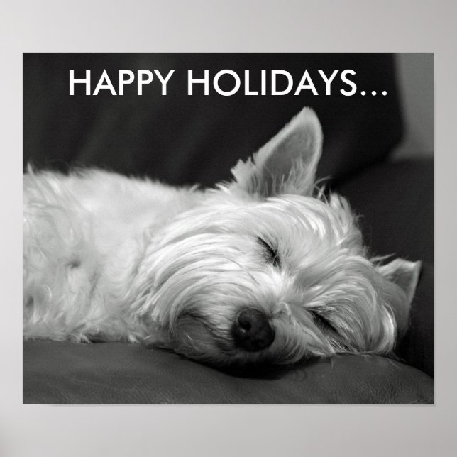 Cute West Highland Terrier Dog Poster (Front)