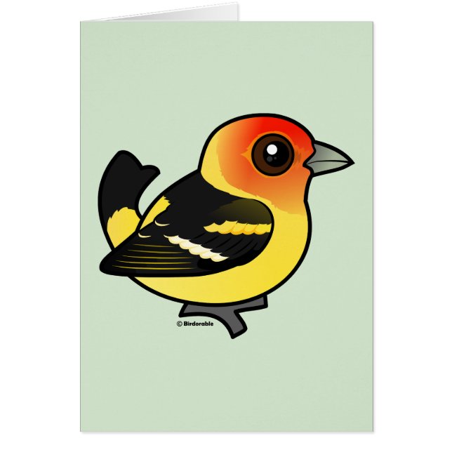 Cute Western Tanager (Front)