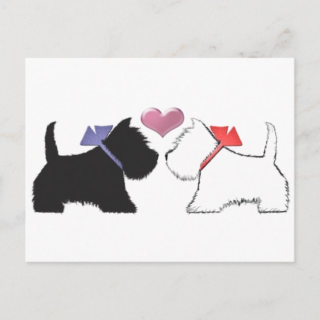 Cute Westie Dogs Art Postcard (Front)