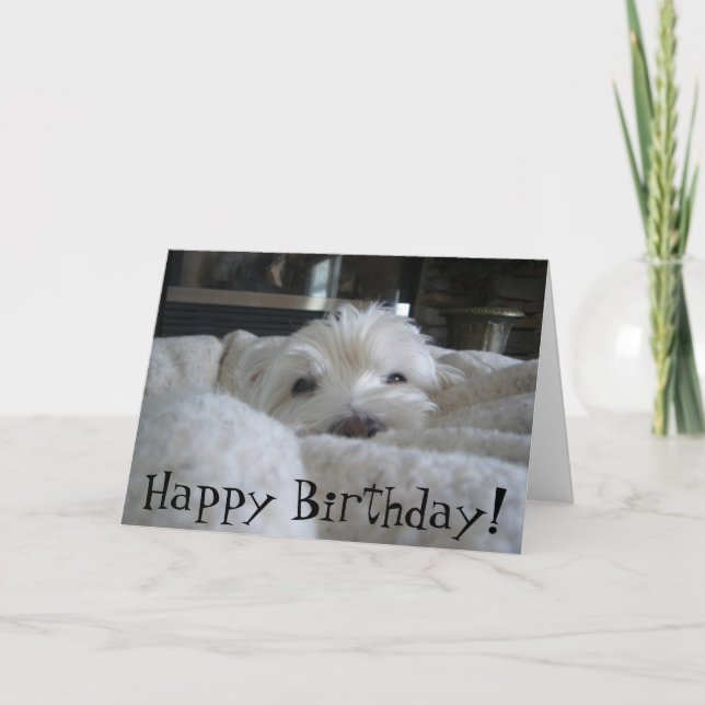 Cute Westie Face Photo Greeting Card (Front)