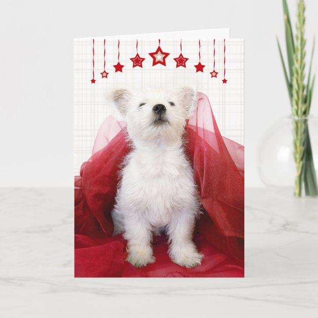 Cute Westie Pup Christmas Card (Front)