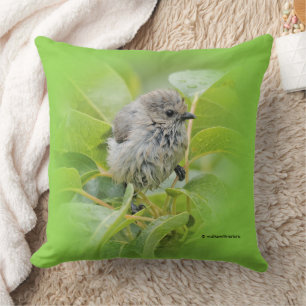 Cute Wet Wee Bushtit on the Laurel Cushion