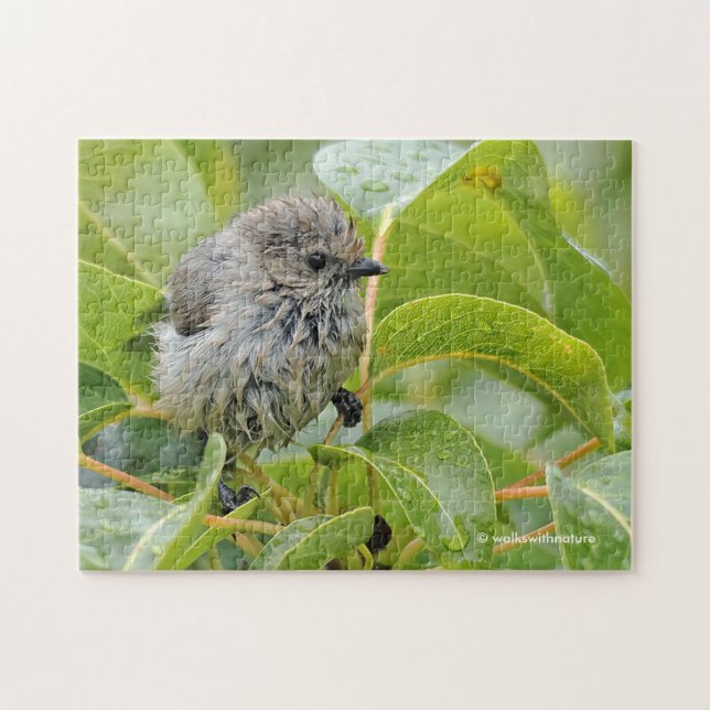 Cute Wet Young Bushtit Songbird on the Laurel Jigsaw Puzzle (Horizontal)