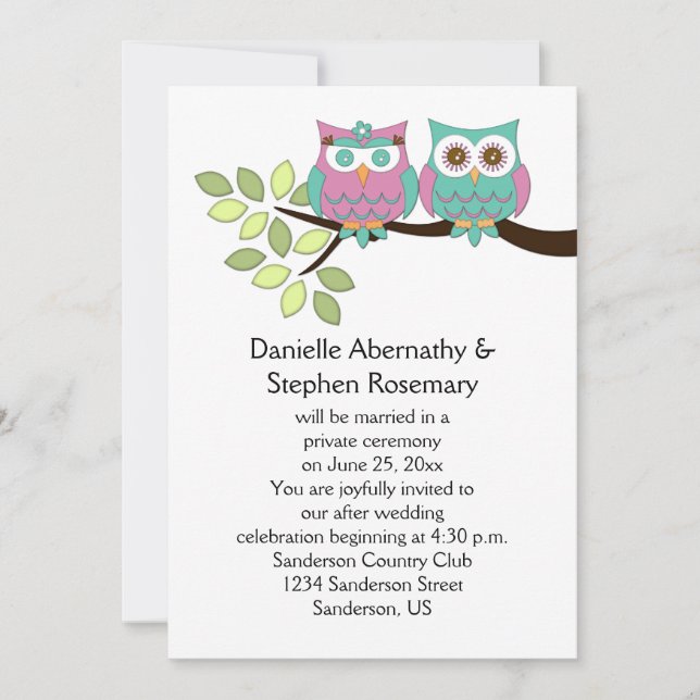 Cute Whimsical Owls After Wedding Celebration Invitation (Front)