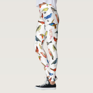 Cute whimsical red blue tropical colorful birds leggings