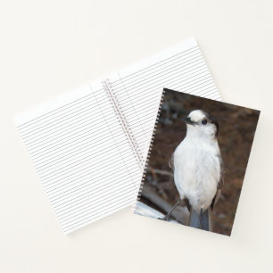 Cute Whiskey Jack Bird Nature Photo Notebook