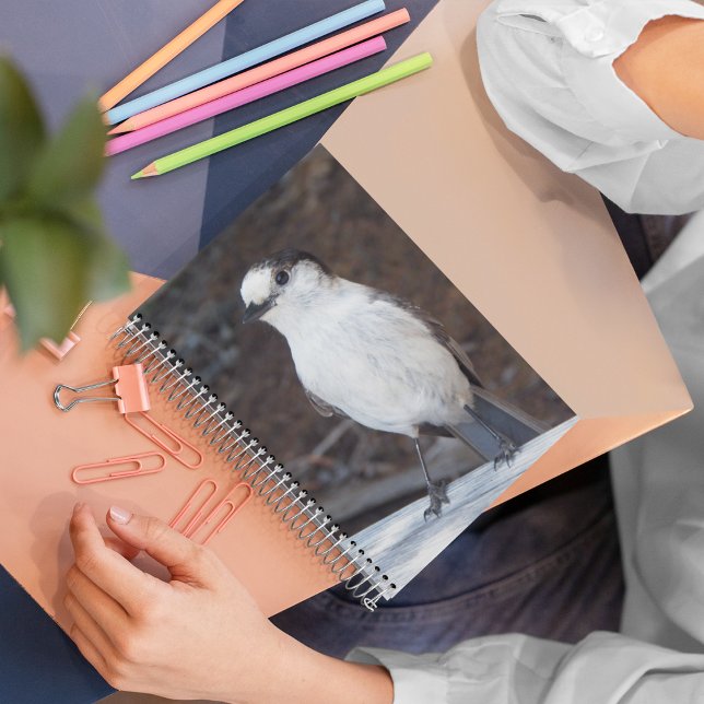 Cute Whiskey Jack Bird Nature Photo Notebook (In Situ)