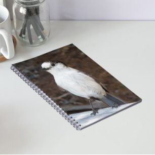 Cute Whiskey Jack Nature Photo Notebook