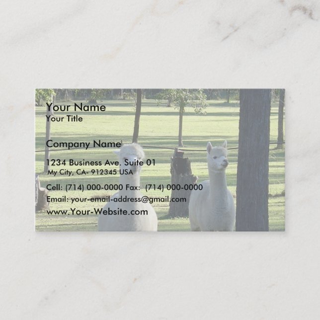 Cute White Alpaca Boys In Green Meadow Full Of Tre Business Card (Front)