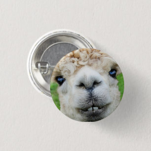 Cute White Alpaca Face 3 Cm Round Badge