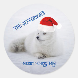 Cute White Arctic Fox in Snow Classic Round Sticker