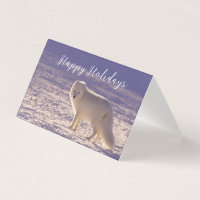 Cute White Arctic Fox Snow Winter Photography
