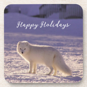 Cute White Arctic Fox Snow Winter Photography Coaster