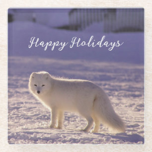 Cute White Arctic Fox Snow Winter Photography Glass Coaster