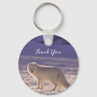 Cute White Arctic Fox Snow Winter Photography