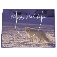 Cute White Arctic Fox Snow Winter Photography