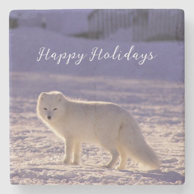 Cute White Arctic Fox Snow Winter Photography Stone Coaster (Front)