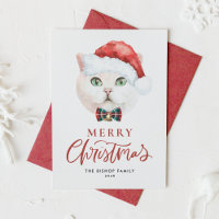 Cute White British Shorthair Cat Santa Christmas