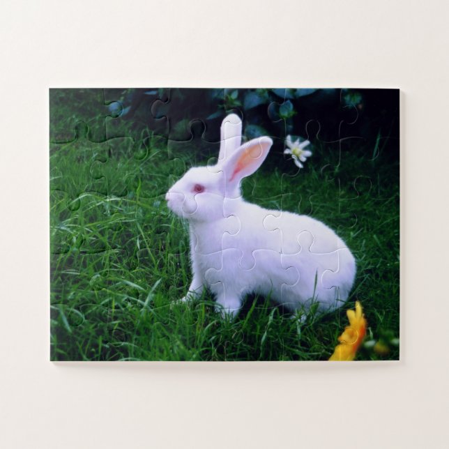 Cute white bunny animal jigsaw puzzle (Horizontal)