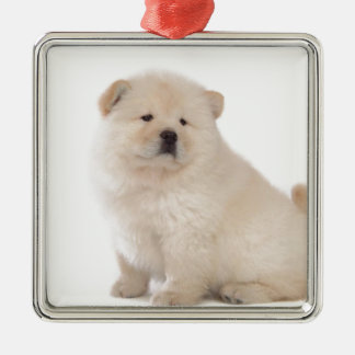 cute white chow chow puppy pup dog metal tree decoration